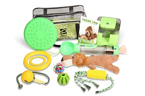 Best Dog Toy Subscription 2025 - 11 Top Choices Best Dog Toy Subscription 2025 - 11 Top Choices