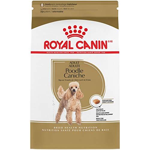 Best Dog Food for Toy Poodles 2025 - Top 10 Choices Best Dog Food for Toy Poodles 2025 - Top 10 Choices