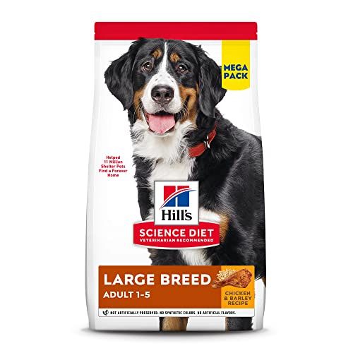 Best Pet Insurance for Large Breed Dogs 2025 - 19 Top Choices Best Pet Insurance for Large Breed Dogs 2025 - 19 Top Choices