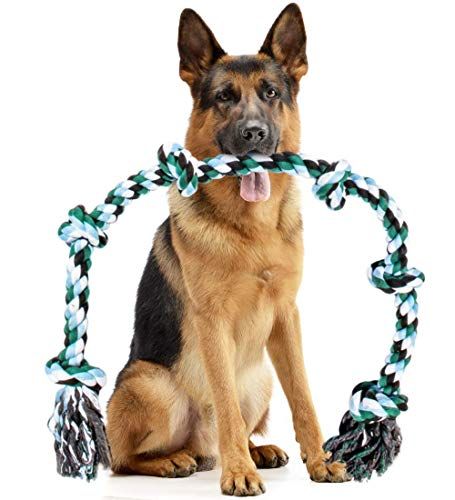 Best Tug of War Dog Toy 2025 - 10 Top Picks Best Tug of War Dog Toy 2025 - 10 Top Picks