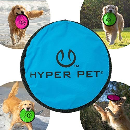 Best 9 Dog Toys Under $10 - 2025 Top Choice Best 9 Dog Toys Under $10 - 2025 Top Choice