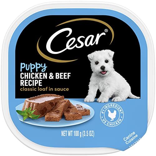 View The Best Best Dog Food For Toy Breeds Of 2022 | See Our Top Choices View The Best Best Dog Food For Toy Breeds Of 2022 | See Our Top Choices