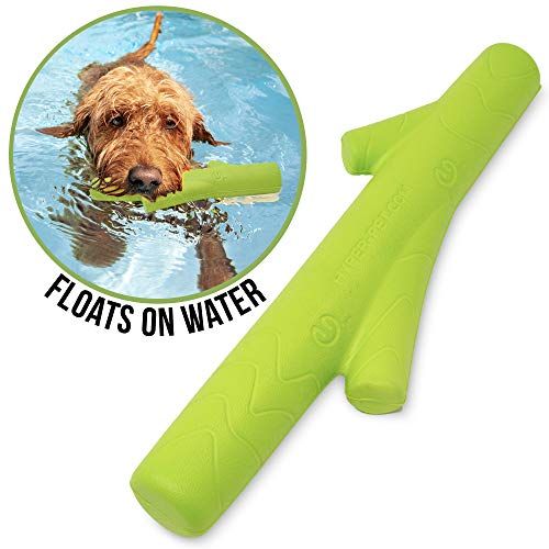 The Best Floating Dog Toys 2025 - 10 Top Choices The Best Floating Dog Toys 2025 - 10 Top Choices