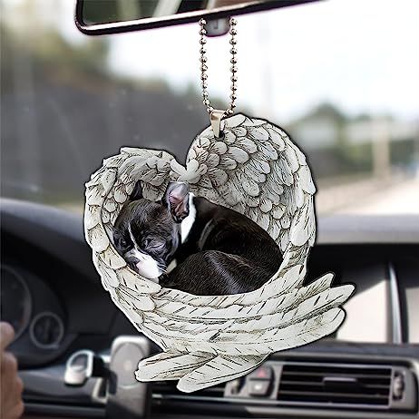 boston terrier pug mix